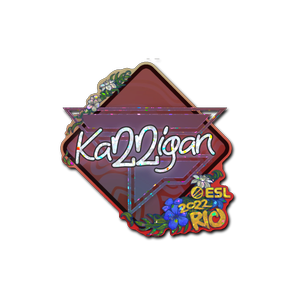 印花 | karrigan(闪耀)| 2022年里约热内卢锦标赛