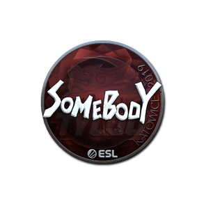 印花 | somebody(闪亮)| 2019年卡托维兹锦标赛