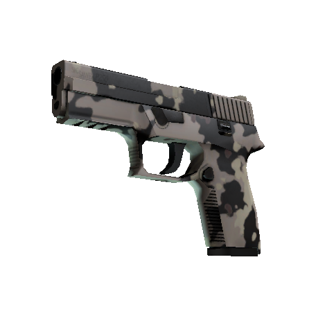 P250 | 潜藏者 (崭新出厂)