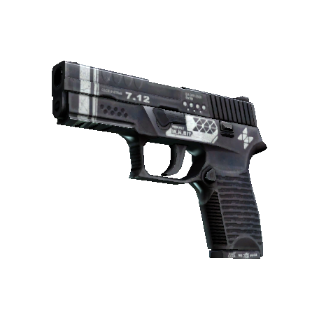 P250(StatTrak™) | 重构 (崭新出厂)