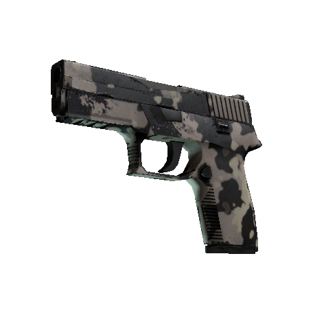P250 | 潜藏者 (久经沙场)