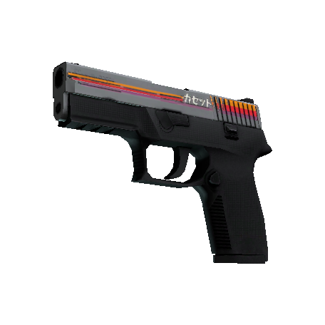 P250(StatTrak™) | 卡带 (略有磨损)