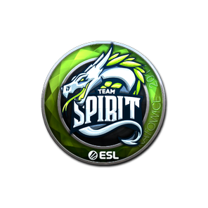 印花 | Team Spirit(闪亮)| 2019年卡托维兹锦标赛