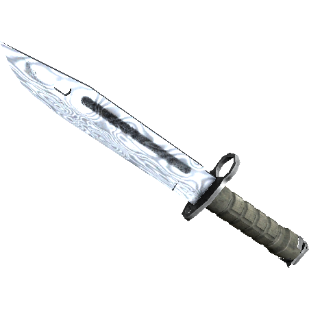 刺刀(★ StatTrak™) | 大马士革钢 (略有磨损)