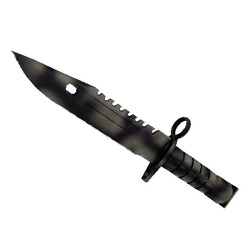 M9 刺刀(★ StatTrak™) | 枯焦之色 (略有磨损)