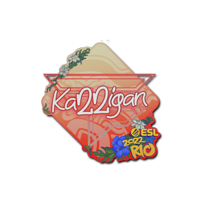 印花 | karrigan | 2022年里约热内卢锦标赛