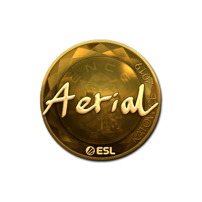 印花 | Aerial(金色)| 2019年卡托维兹锦标赛