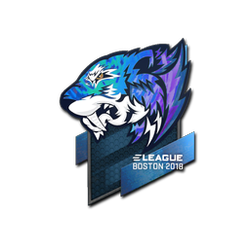 印花 | Flash Gaming(全息)| 2018年波士顿锦标赛
