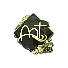 印花 | arT(金色)| 2022年里约热内卢锦标赛