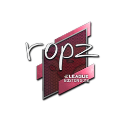 印花 | ropz | 2018年波士顿锦标赛