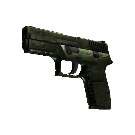 P250(StatTrak™) | 铠甲 (破损不堪)