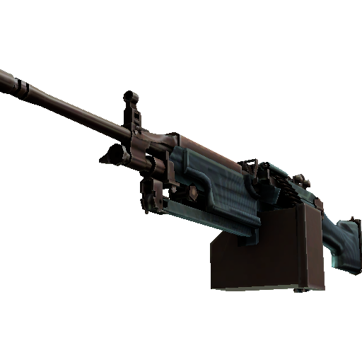 M249(纪念品) | 淹没 (略有磨损)
