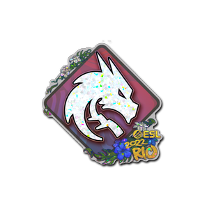 印花 | Team Spirit(闪耀)| 2022年里约热内卢锦标赛