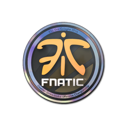 印花 | Fnatic(全息)| 2014年科隆锦标赛