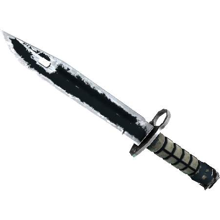 刺刀(★ StatTrak™) | 噩梦之夜 (战痕累累)