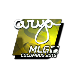 印花 | arya(闪亮)| 2016年 MLG 哥伦布锦标赛