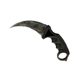 爪子刀(★ StatTrak™) | 森林 DDPAT (破损不堪)