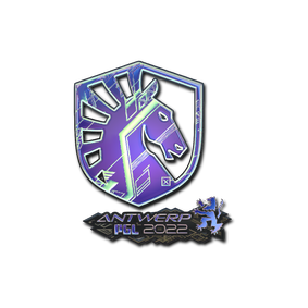 印花 | Team Liquid(全息)| 2022年安特卫普锦标赛