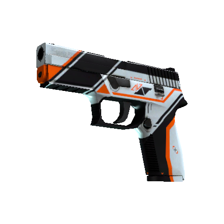 P250(StatTrak™) | 二西莫夫 (久经沙场)