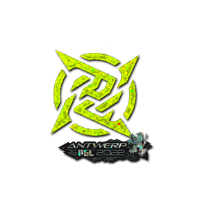 印花 | Ninjas in Pyjamas(闪耀)| 2022年安特卫普锦标赛