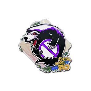 印花 | Outsiders | 2022年里约热内卢锦标赛