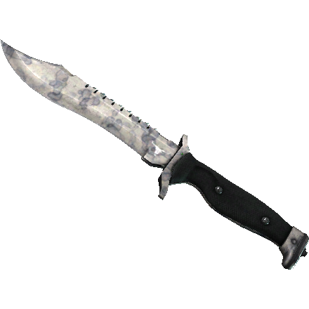 鲍伊猎刀(★ StatTrak™) | 人工染色 (破损不堪)