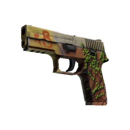 P250(StatTrak™) | 炼狱小镇 (崭新出厂)