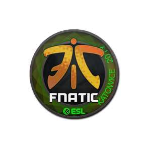 印花 | Fnatic(全息)| 2019年卡托维兹锦标赛