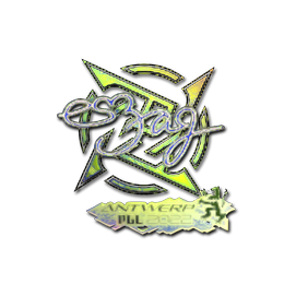 印花 | es3tag(全息) | 2022年安特卫普锦标赛
