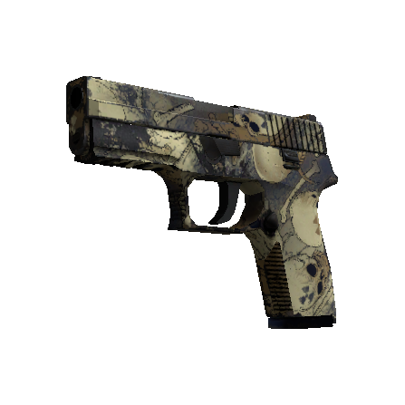 P250 | 核子污染 (久经沙场)