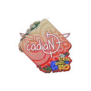 印花 | cadiaN | 2022年里约热内卢锦标赛