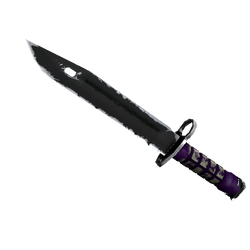 刺刀(★ StatTrak™) | 致命紫罗兰 (破损不堪)