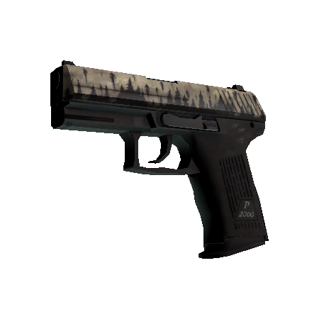 P2000(StatTrak™) | 升天 (略有磨损)