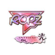 印花 | ropz(全息) | 2022年安特卫普锦标赛