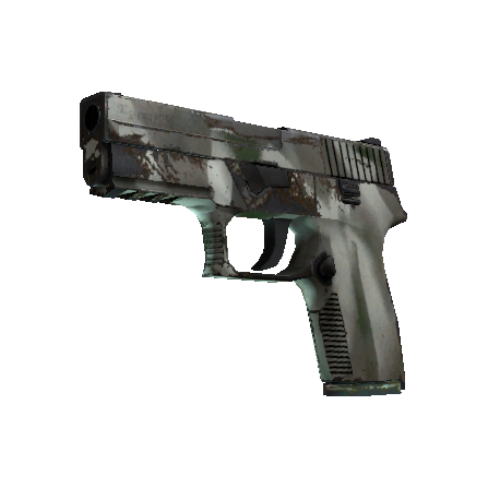P250(纪念品) | 骸骨外罩 (久经沙场)