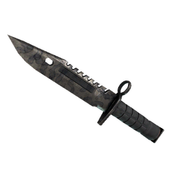 M9 刺刀(★ StatTrak™) | 人工染色 (战痕累累)