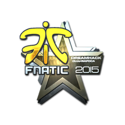 印花 | Fnatic（闪亮）| 2015年克卢日-纳波卡锦标赛