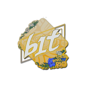 印花 | b1t | 2022年里约热内卢锦标赛