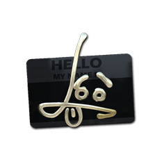 印花 | Hello SG 553(金色)