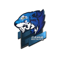 印花 | Flash Gaming | 2018年波士顿锦标赛