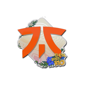 印花 | Fnatic | 2022年里约热内卢锦标赛
