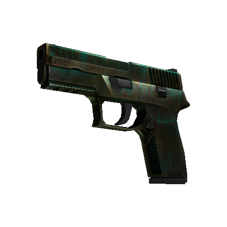 P250(StatTrak™) | 铜绿 (战痕累累)