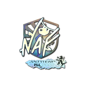 印花 | NAF(全息) | 2022年安特卫普锦标赛