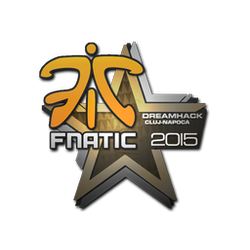 印花 | Fnatic | 2015年克卢日-纳波卡锦标赛