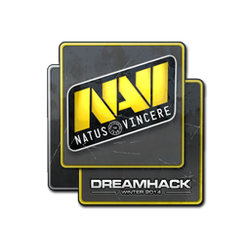 印花 | Natus Vincere | 2014年 DreamHack 锦标赛