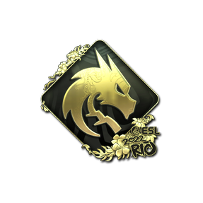 印花 | Team Spirit (金色)| 2022年里约热内卢锦标赛