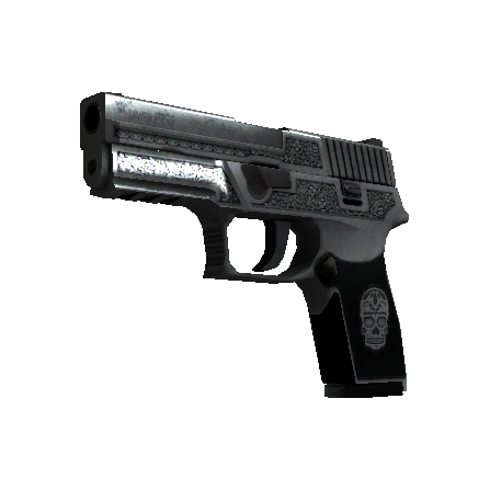 P250 | 卡特尔 (久经沙场)