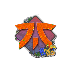 印花 | Fnatic(闪耀)| 2022年里约热内卢锦标赛
