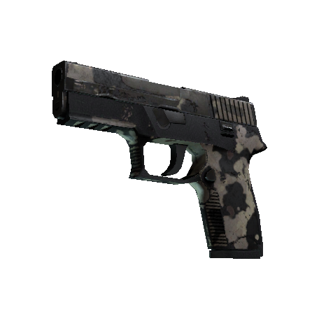 P250 | 潜藏者