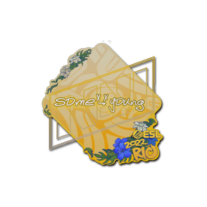 印花 | sdy | 2022年里约热内卢锦标赛